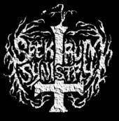 logo Spektrum Synistry logo Spektrum Synistry